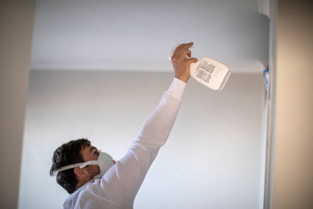 Best Local Mold Removal Service  in Lewistown, MT